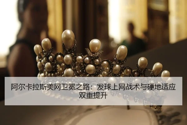 a-er-ka-la-si-mei-wang-wei-mian-zhi-lu-fa-qiu-shang-wang-zhan-shu-yu-ying-di-shi-ying-shuang-chong-ti-sheng-2-298.jpg