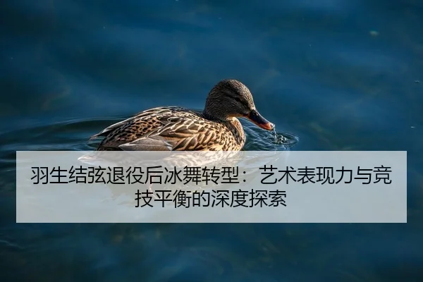 羽生结弦退役后冰舞转型：艺术表现力与竞技平衡的深度探索