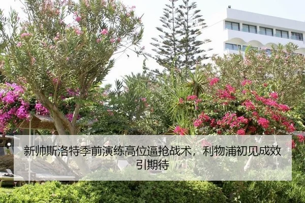 新帅斯洛特季前演练高位逼抢战术，利物浦初见成效引期待