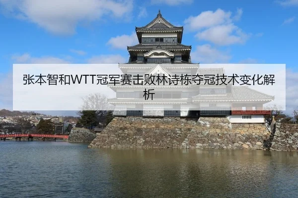 张本智和WTT冠军赛击败林诗栋夺冠技术变化解析