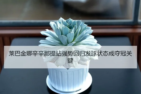 lai-ba-jin-na-xin-xin-na-ti-zhan-qiang-shi-hui-gui-fa-qiu-zhuang-tai-cheng-duo-guan-guan-jian-3-383.jpg