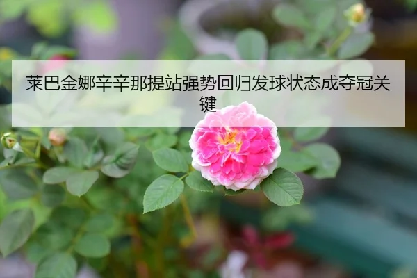 莱巴金娜辛辛那提站强势回归发球状态成夺冠关键