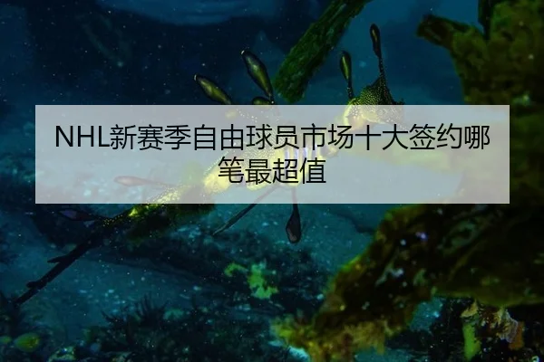 xin-sai-ji-zi-you-qiu-yuan-shi-chang-shi-da-qian-yue-na-bi-zui-chao-zhi-2-802.jpg