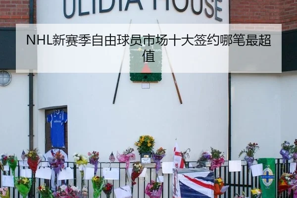 NHL新赛季自由球员市场十大签约哪笔最超值