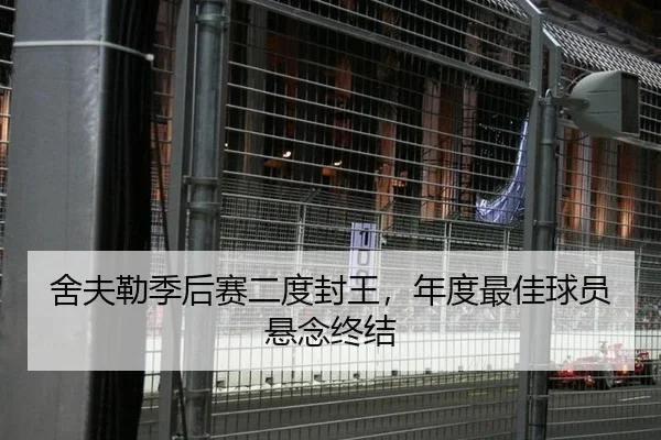 舍夫勒季后赛二度封王，年度最佳球员悬念终结