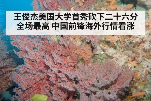 王俊杰美国大学首秀砍下二十六分全场最高 中国前锋海外行情看涨